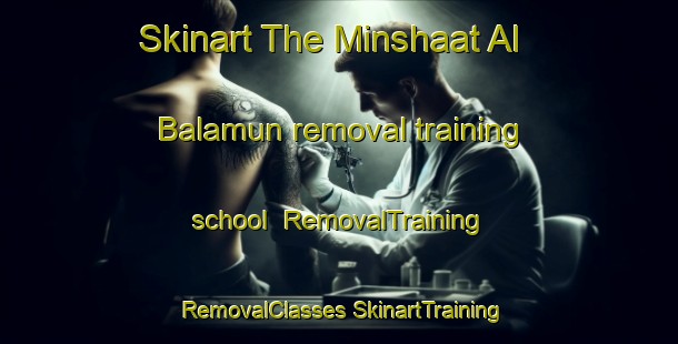 Skinart The Minshaat Al Balamun removal training school | #RemovalTraining #RemovalClasses #SkinartTraining-Egypt