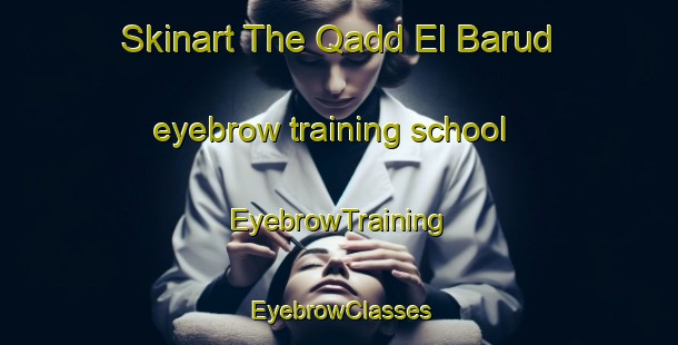 Skinart The Qadd El Barud eyebrow training school | EyebrowTraining | EyebrowClasses | SkinartTraining-Egypt