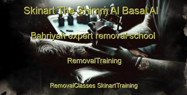 Skinart The Shimm Al Basal Al Bahriyah expert removal school | #RemovalTraining #RemovalClasses #SkinartTraining-Egypt