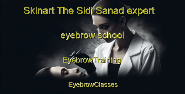 Skinart The Sidi Sanad expert eyebrow school | EyebrowTraining | EyebrowClasses | SkinartTraining-Egypt