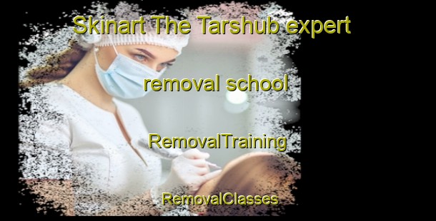 Skinart The Tarshub expert removal school | RemovalTraining | RemovalClasses | SkinartTraining-Egypt