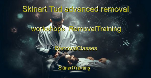 Skinart Tud advanced removal workshops | RemovalTraining | RemovalClasses | SkinartTraining-Egypt