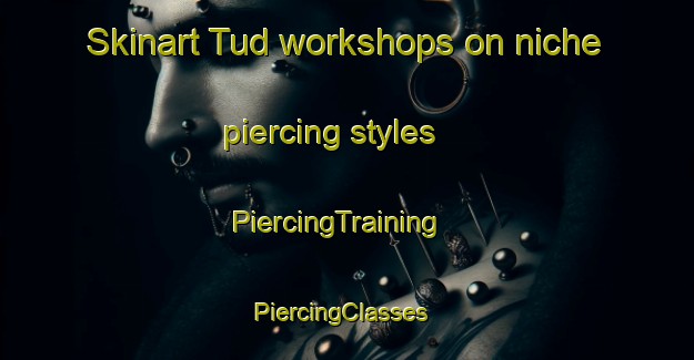 Skinart Tud workshops on niche piercing styles | PiercingTraining | PiercingClasses | SkinartTraining-Egypt