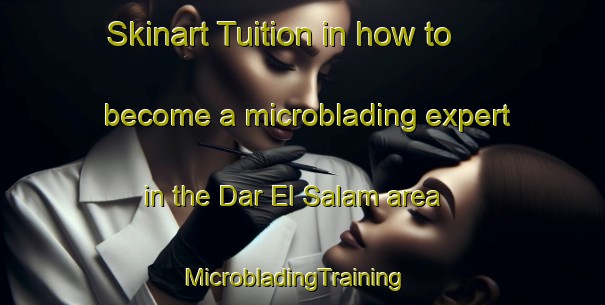Skinart Tuition in how to become a microblading expert in the Dar El Salam area | MicrobladingTraining | MicrobladingClasses | SkinartTraining-Egypt