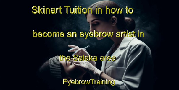 Skinart Tuition in how to become an eyebrow artist in the Salaka area | EyebrowTraining | EyebrowClasses | SkinartTraining-Egypt