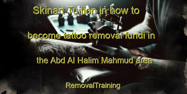 Skinart Tuition in how to become tattoo removal fundi in the Abd Al Halim Mahmud area | RemovalTraining | RemovalClasses | SkinartTraining-Egypt