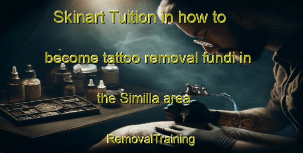Skinart Tuition in how to become tattoo removal fundi in the Similla area | RemovalTraining | RemovalClasses | SkinartTraining-Egypt