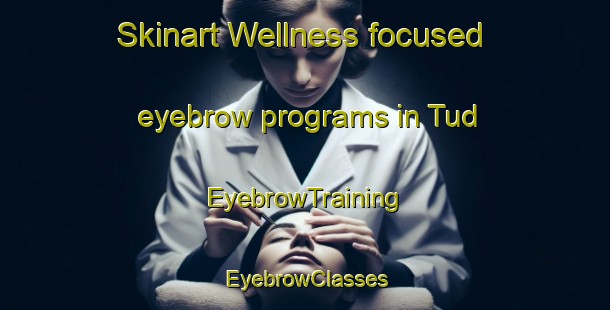 Skinart Wellness-focused eyebrow programs in Tud | EyebrowTraining | EyebrowClasses | SkinartTraining-Egypt