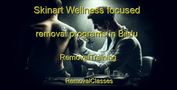 Skinart Wellness-focused removal programs in Bildu | RemovalTraining | RemovalClasses | SkinartTraining-Egypt