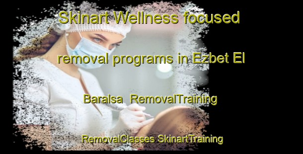 Skinart Wellness-focused removal programs in Ezbet El Baralsa | #RemovalTraining #RemovalClasses #SkinartTraining-Egypt