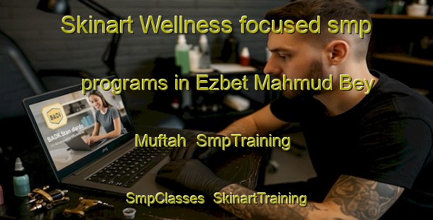 Skinart Wellness-focused smp programs in Ezbet Mahmud Bey Muftah | SmpTraining | SmpClasses | SkinartTraining-Egypt
